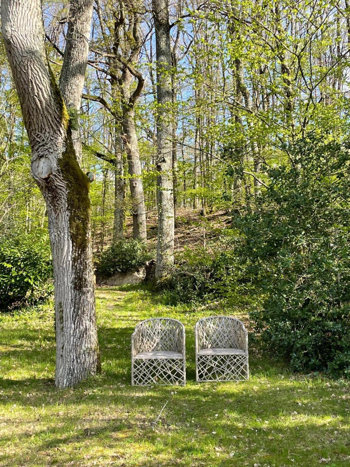 Chateau De 3* Nazelles-Negron